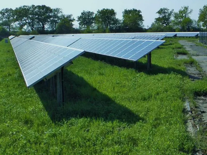 China and the Netherlands will strengthen cooperation in the field of new energy